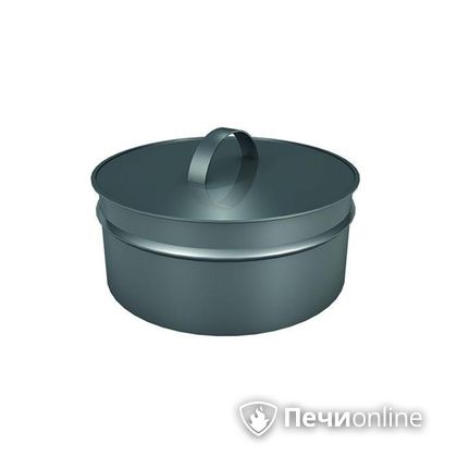 Заглушки Теплов и Сухов Заглушка ревизии Термо-Р 304 0.5 D300(200) в Алматы