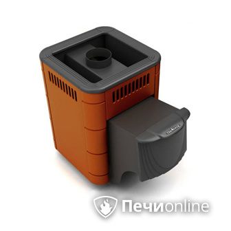 Дровяная банная печь TMF Оса Carbon терракота дверь антрацит в Алматы