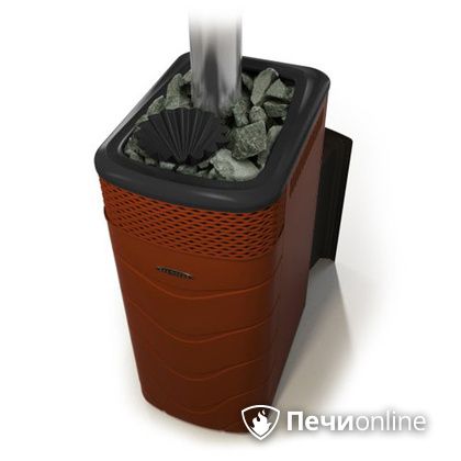 Дровяная банная печь TMF Гейзер XXL 2017 Inox Витра закрытая каменка терракота в Алматы